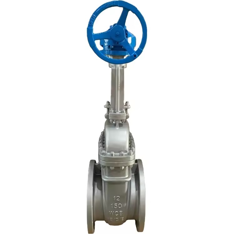 API 600 ANSI Flanged Gear Руководитель литой стальной затворный клапан