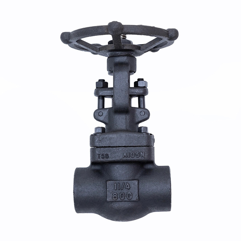 Кованая задвижка 800LBS