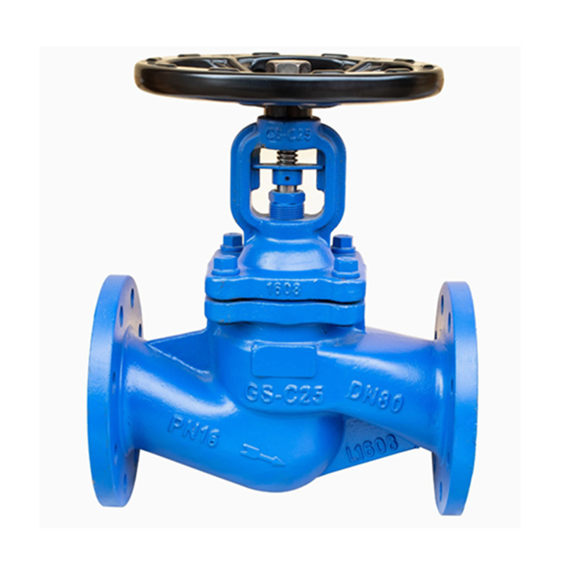 GS-C25 Flanged DIN Standard Bellow Bellow Seal Globe Globe Clape