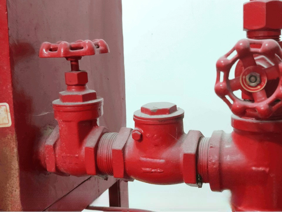Threaded Check Valves for Fire Protection System